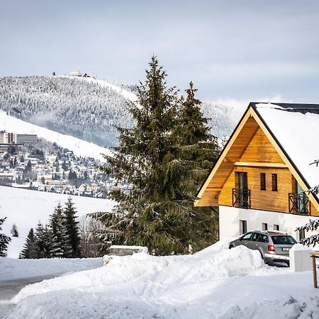 Ski Chalet Klinovec Loučná pod Klínovcem 外观 照片