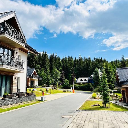 Ski Chalet Klinovec Loučná pod Klínovcem 外观 照片