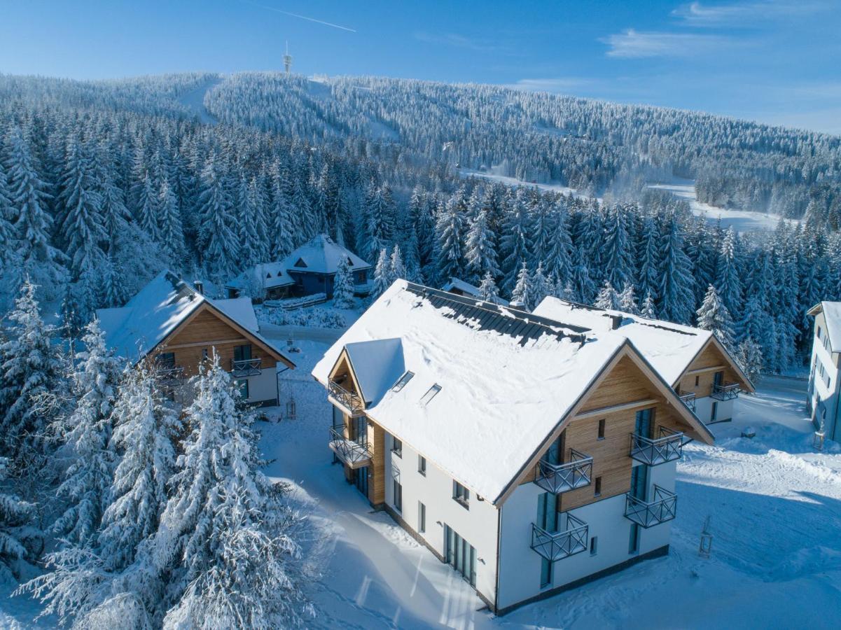 Ski Chalet Klinovec Loučná pod Klínovcem 外观 照片