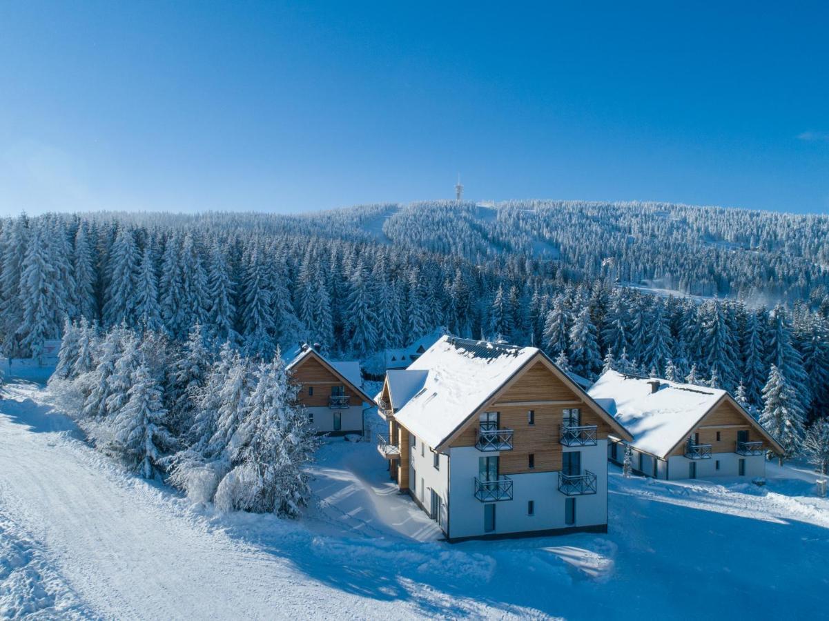 Ski Chalet Klinovec Loučná pod Klínovcem 外观 照片