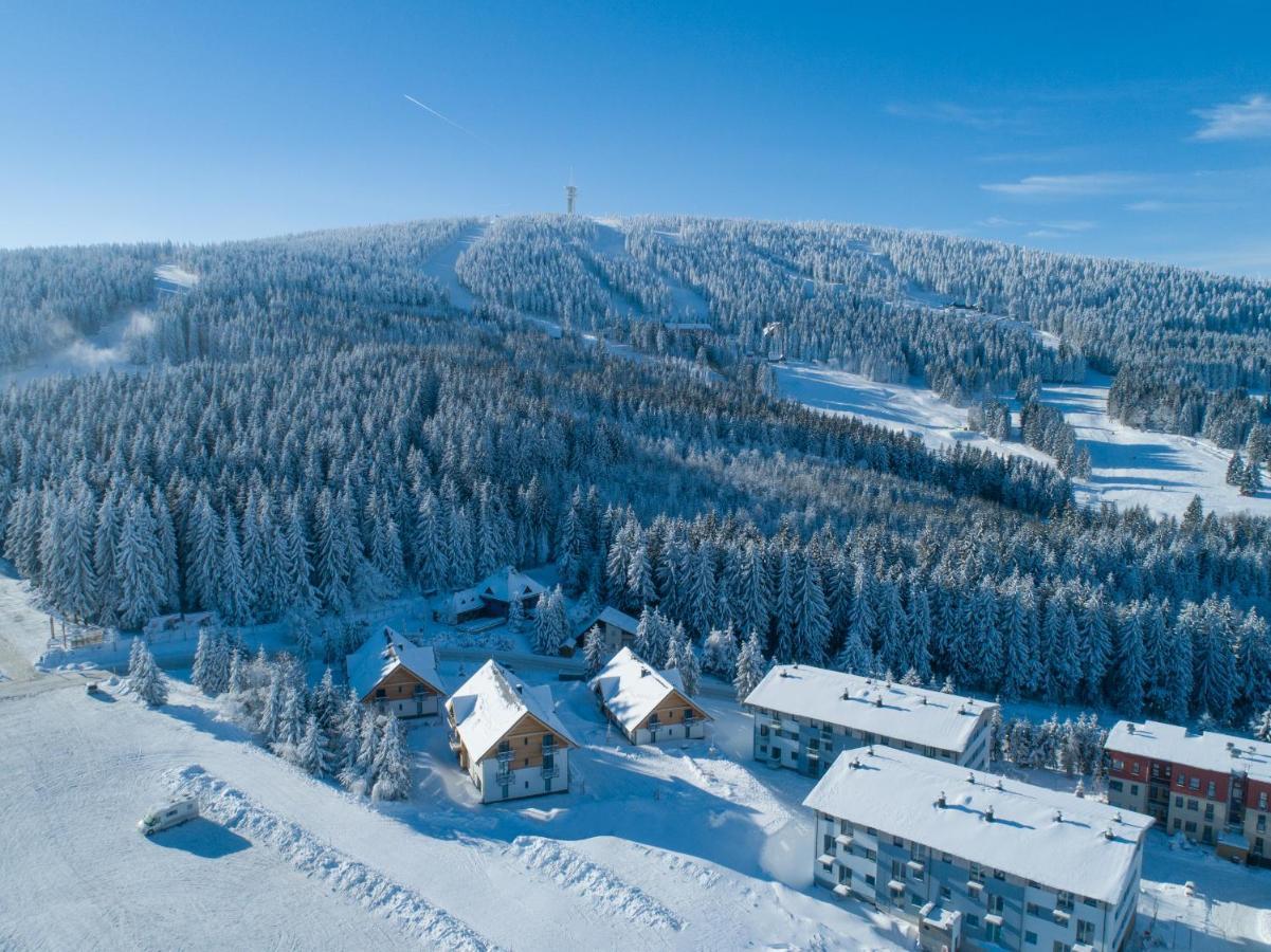 Ski Chalet Klinovec Loučná pod Klínovcem 外观 照片