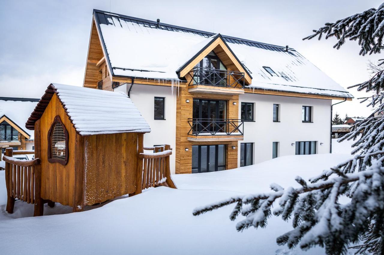 Ski Chalet Klinovec Loučná pod Klínovcem 外观 照片