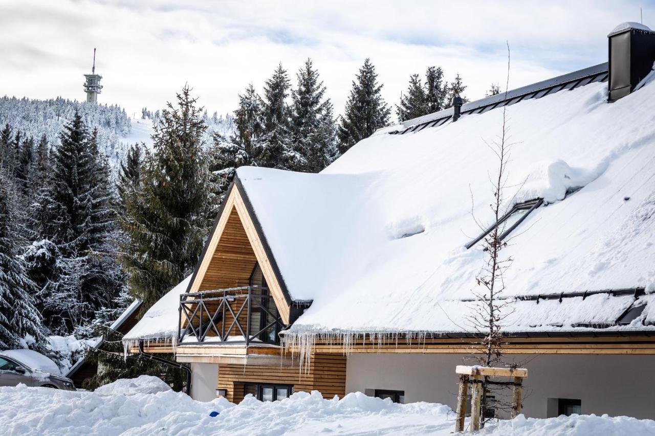 Ski Chalet Klinovec Loučná pod Klínovcem 外观 照片
