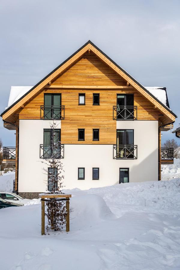 Ski Chalet Klinovec Loučná pod Klínovcem 外观 照片