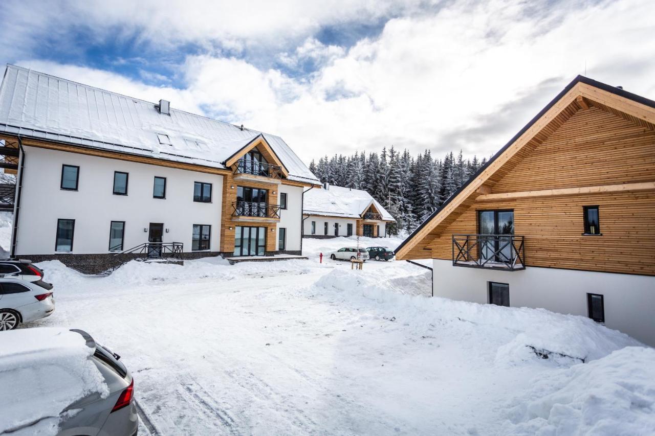 Ski Chalet Klinovec Loučná pod Klínovcem 外观 照片