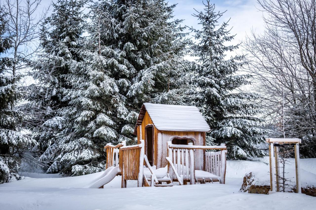Ski Chalet Klinovec Loučná pod Klínovcem 外观 照片