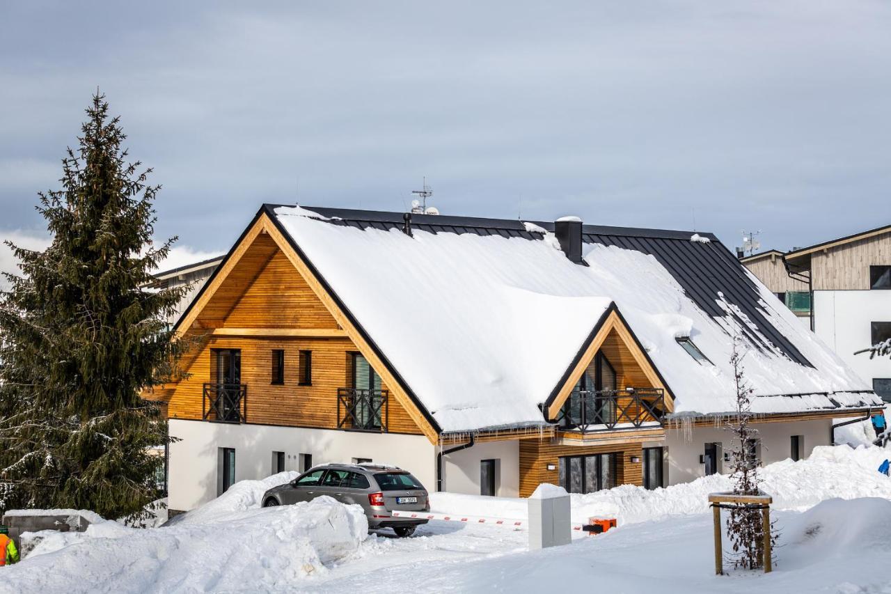 Ski Chalet Klinovec Loučná pod Klínovcem 外观 照片