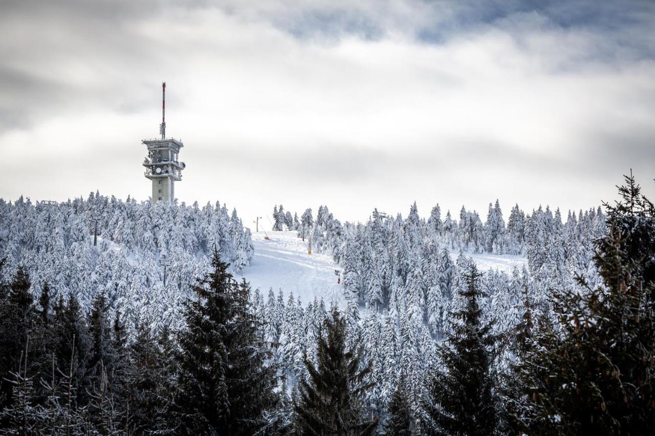 Ski Chalet Klinovec Loučná pod Klínovcem 外观 照片