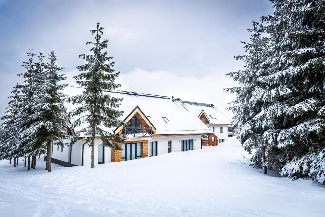 Ski Chalet Klinovec Loučná pod Klínovcem 外观 照片