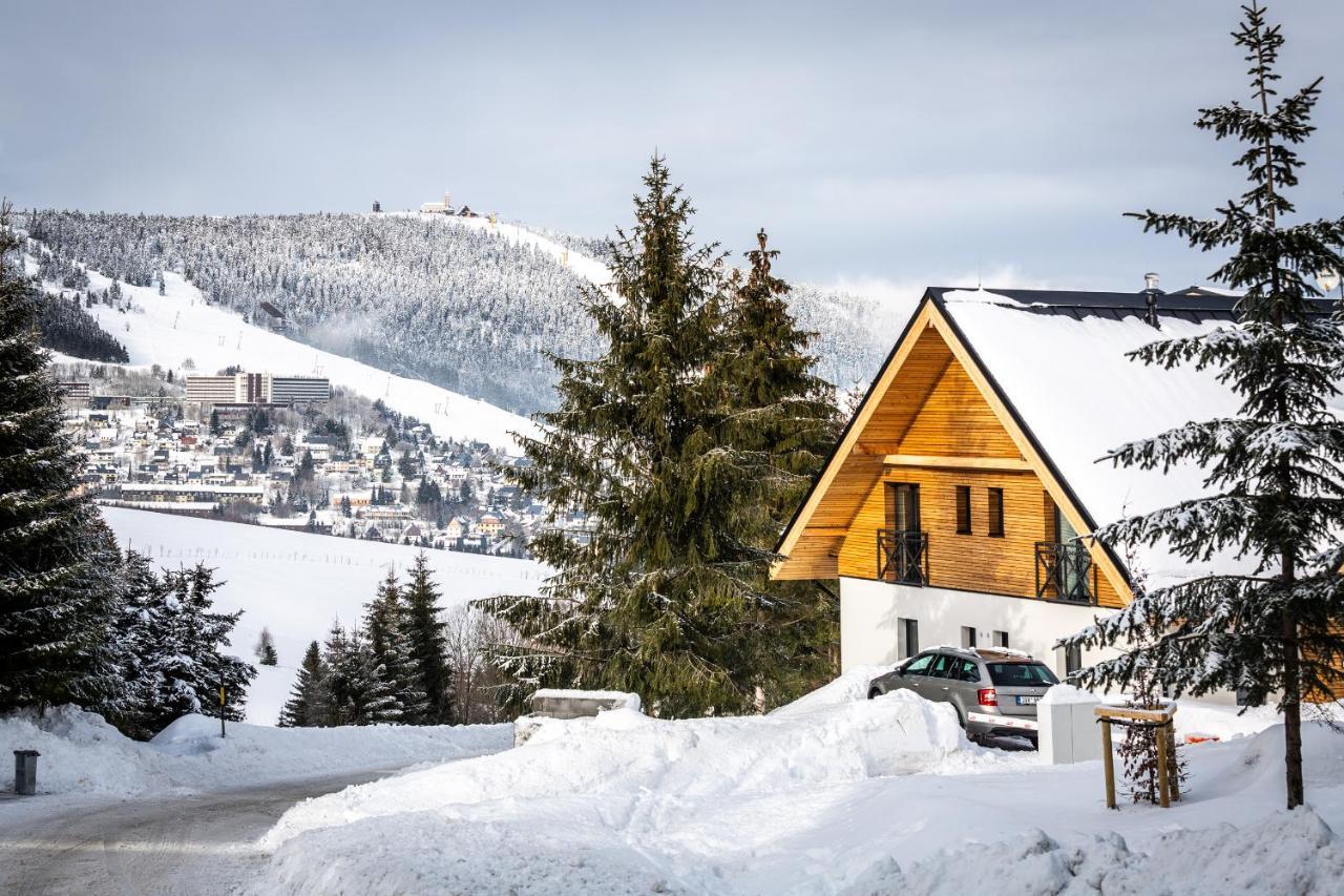 Ski Chalet Klinovec Loučná pod Klínovcem 外观 照片