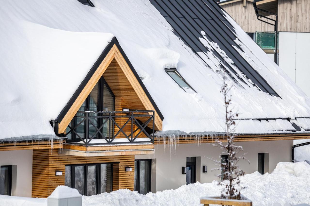 Ski Chalet Klinovec Loučná pod Klínovcem 外观 照片