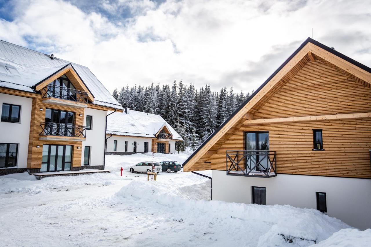 Ski Chalet Klinovec Loučná pod Klínovcem 外观 照片