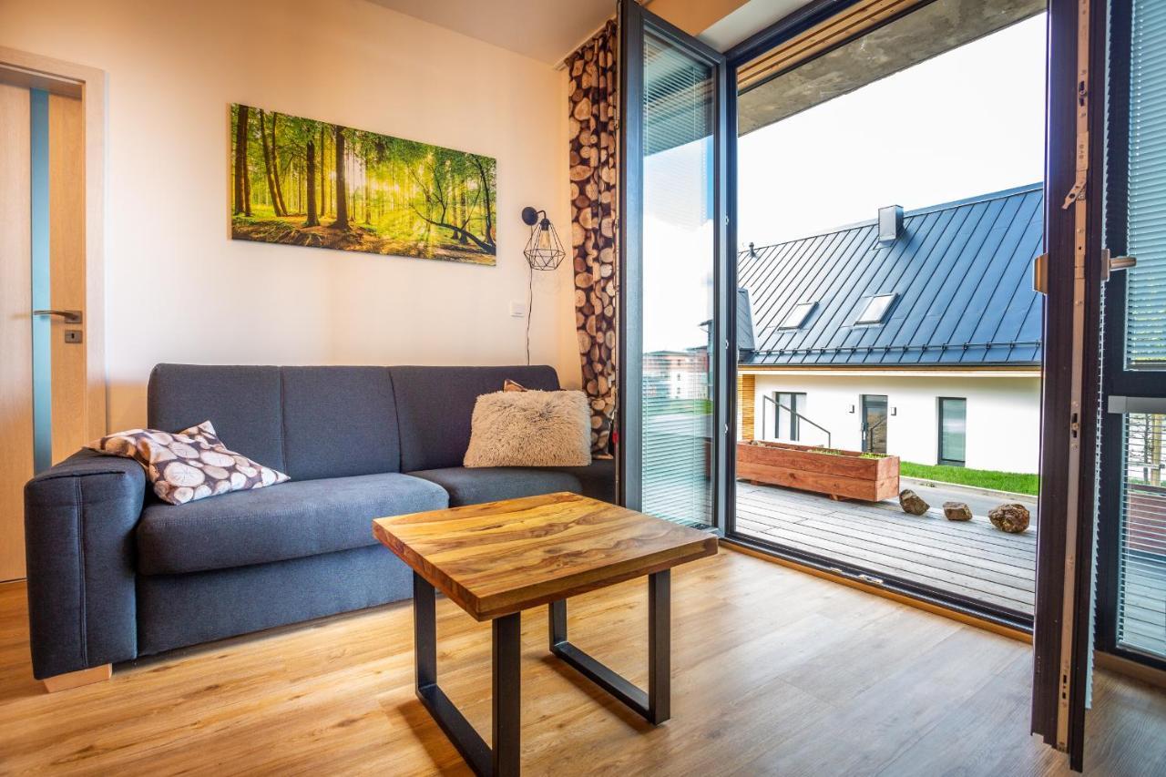 Ski Chalet Klinovec Loučná pod Klínovcem 外观 照片