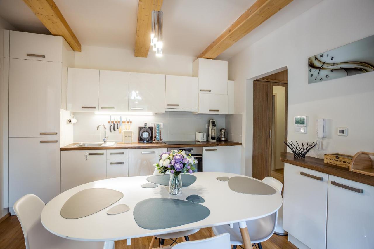Ski Chalet Klinovec Loučná pod Klínovcem 外观 照片