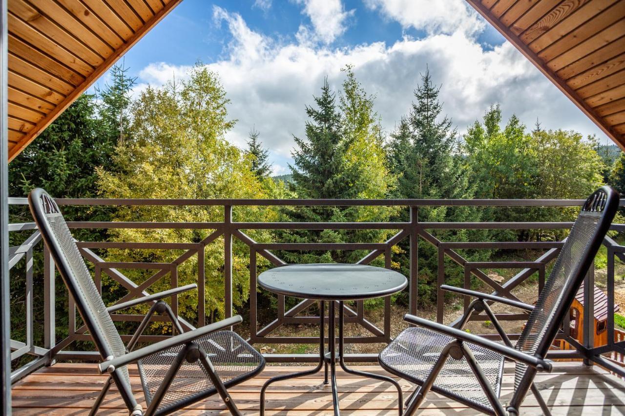 Ski Chalet Klinovec Loučná pod Klínovcem 外观 照片