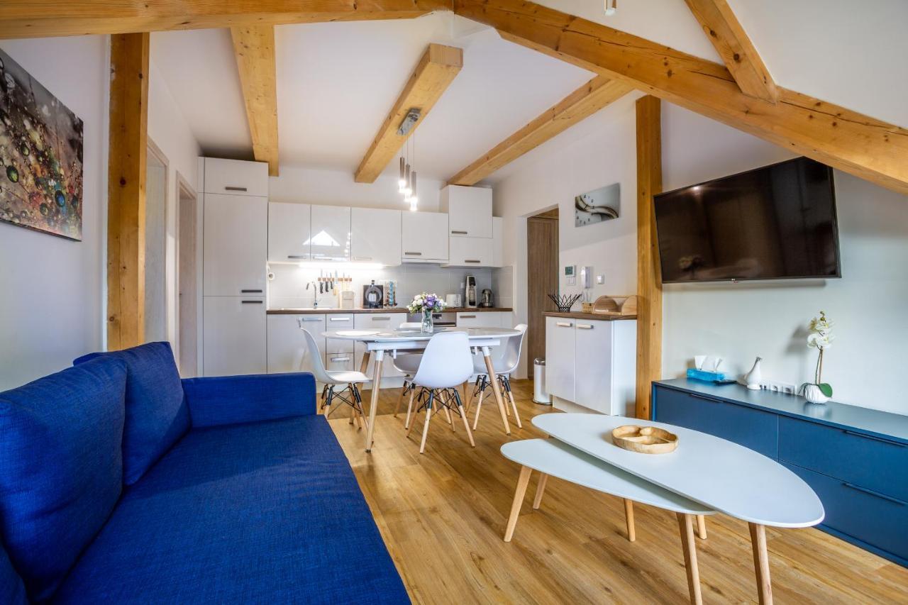 Ski Chalet Klinovec Loučná pod Klínovcem 外观 照片