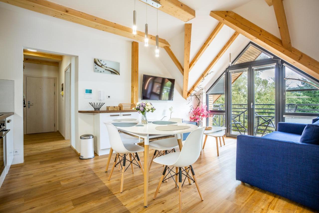 Ski Chalet Klinovec Loučná pod Klínovcem 外观 照片