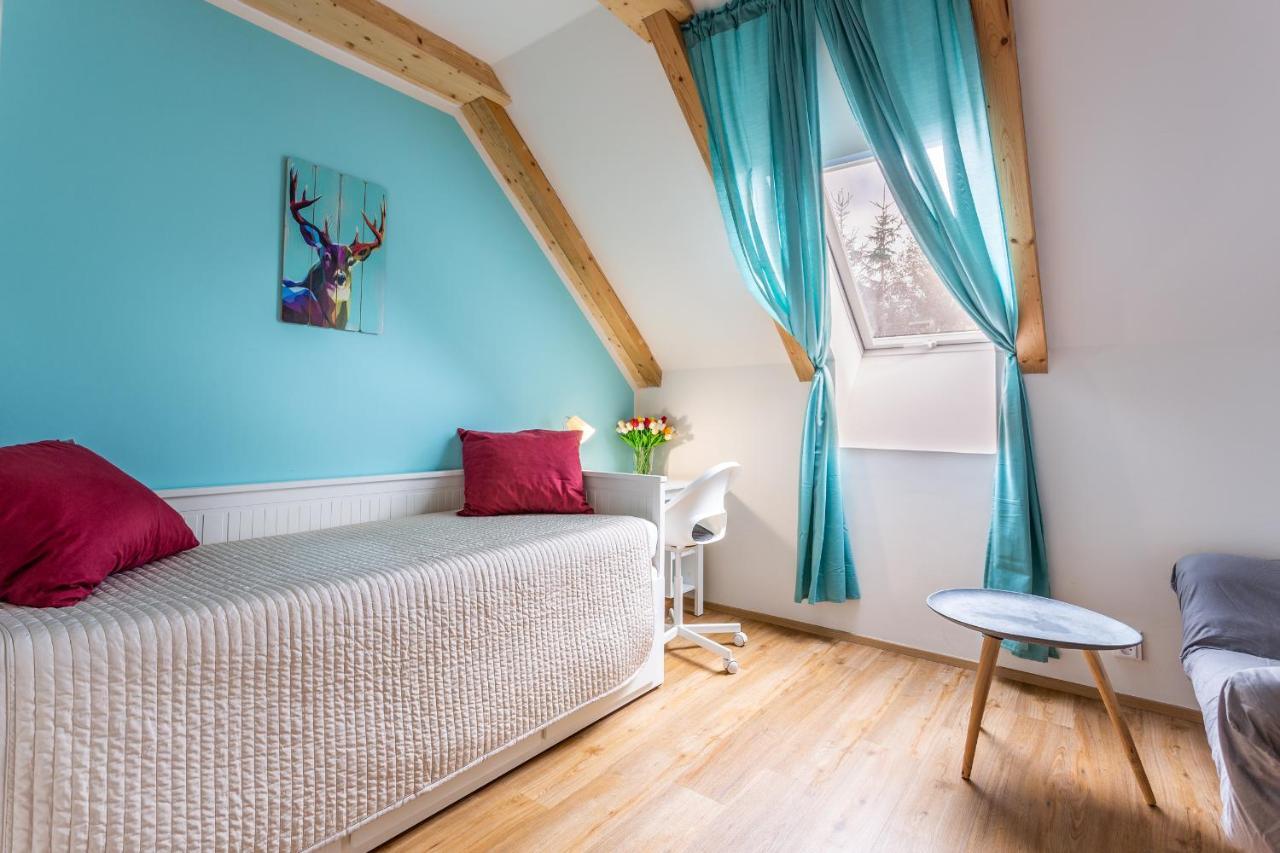 Ski Chalet Klinovec Loučná pod Klínovcem 外观 照片